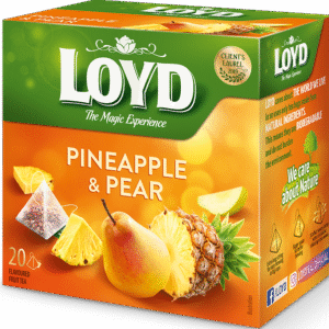 Loyd Tea Pineapple & Pear (2g x 20 Pyramids)